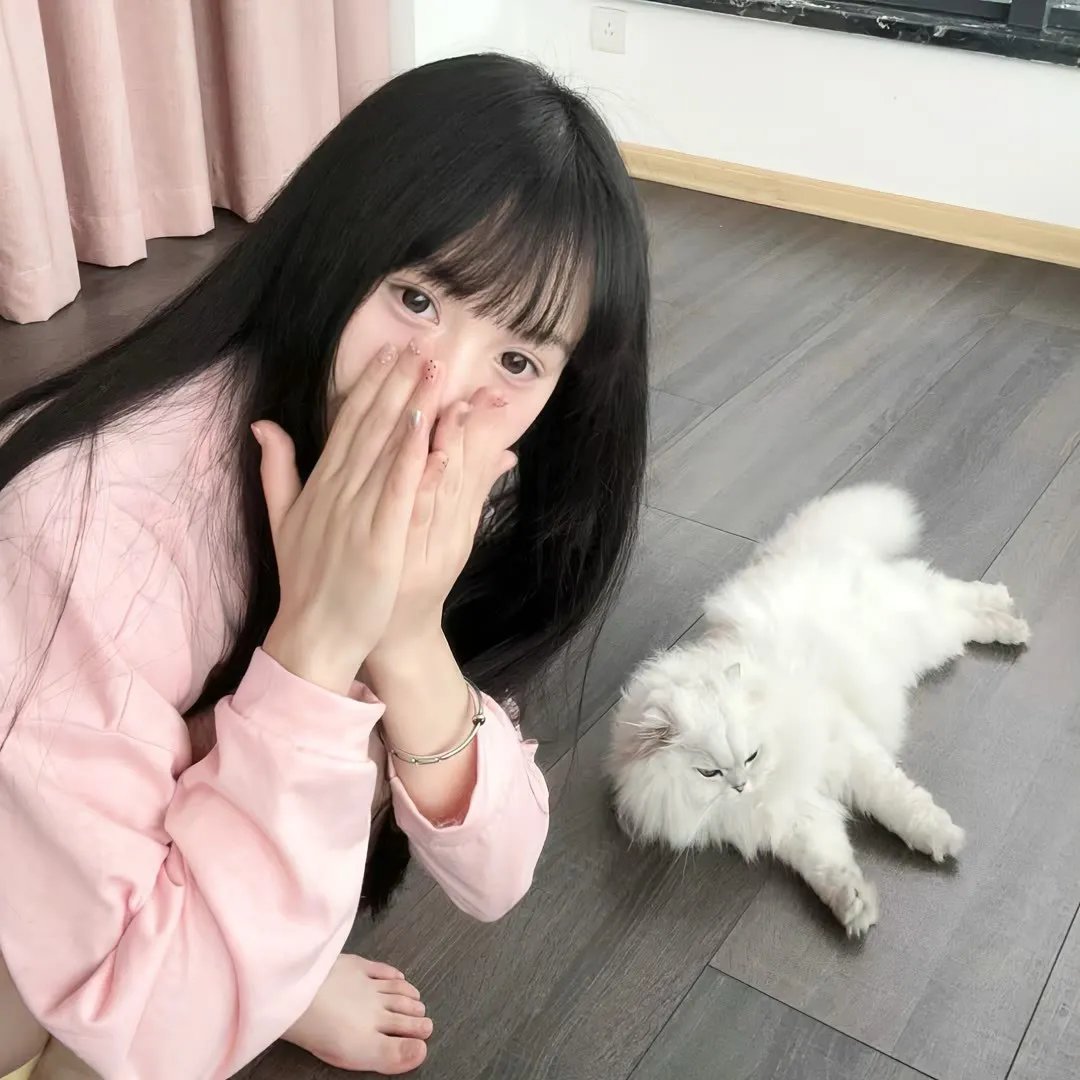 星蝶公主第三季